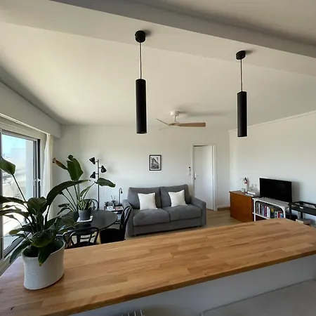 F8 - Terrace Paris's View, Eiffel Tower Area Lejlighed